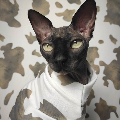 Bitch! i'm a cow yeezus