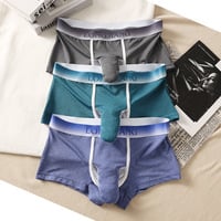 Men's sexy underwear mesh holes breathable youth elephant tube physiological boxer briefs L482   - Thumbnail 6