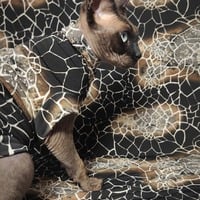 Giraffe - Sleepwear - Thumbnail 1