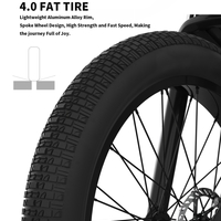 52V All-Terrain E-Bike  26x4.0 Fat Tire Electric Bike 20 AH Extended-Range Battery & Hydraulic Disc Brakes - Thumbnail 7