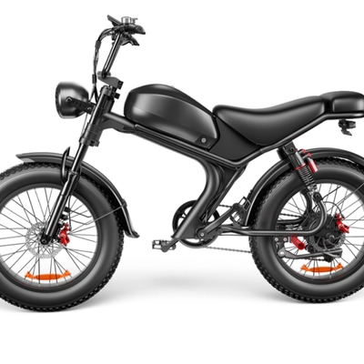 C93 single drive 20 inch, high speed electric bike