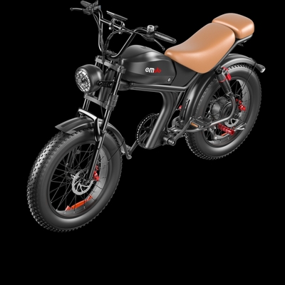 C93 single drive 20 inch, high speed electric bike