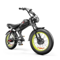 C93- Dual-drive High-speed Electric Bike - Thumbnail 1