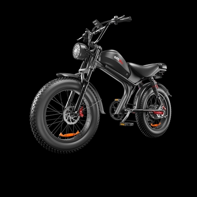 C93- dual-drive high-speed electric bike