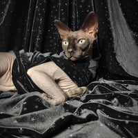 Moon Magic - Velvet - Thumbnail 1