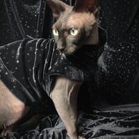 Moon Magic - Velvet - Thumbnail 2