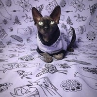 Mystic In Lilac - Thumbnail 2