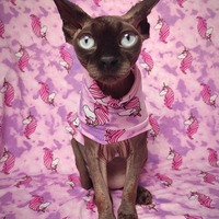 Be A Unicorn - Sleepwear - Thumbnail 1