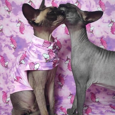 Be a unicorn - sleepwear