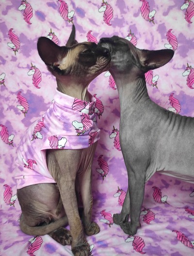 Be A Unicorn - Sleepwear