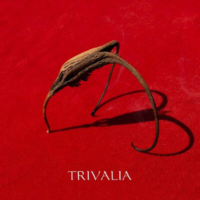 Trivalia "Crna Voda" 2xLP (massive Serbian post punk/goth from 1991)