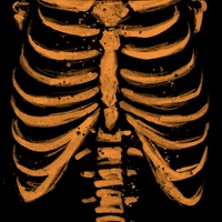 RIB CAGE - halloween 25’  - Thumbnail 1