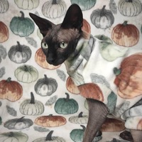 Pumpkins and Butterflies - Luxe Fleece - Thumbnail 2