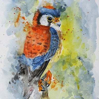 American kestrel bird painting – archival watercolor wildlife wall art by tanya davis