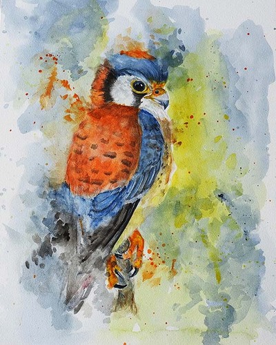 American kestrel bird painting – archival watercolor wildlife wall art by tanya davis