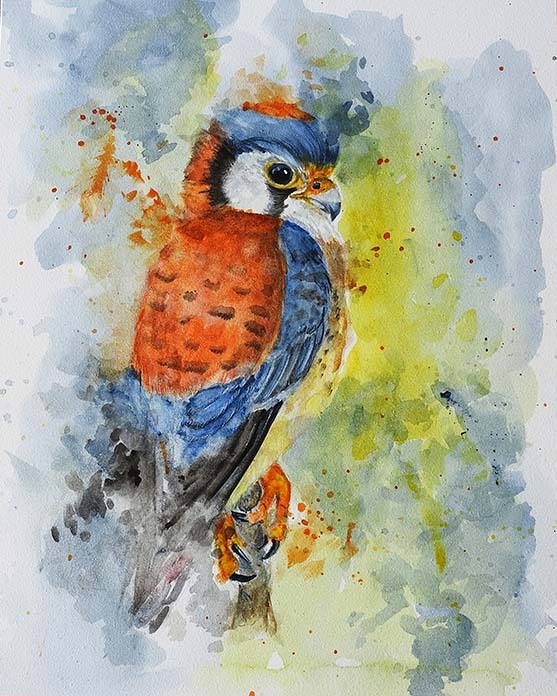 American Kestrel Bird Painting – Archival Watercolor Wildlife Wall Art by Tanya Davis