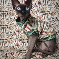 Swords & Sun - Thumbnail 2