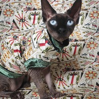 Swords & Sun - Thumbnail 1