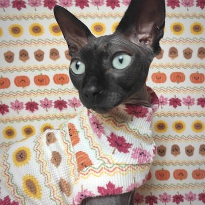 Fall fair isle - thermal