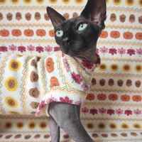 Fall Fair Isle - Thermal - Thumbnail 2