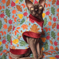 Adorable Leaves - Thumbnail 1