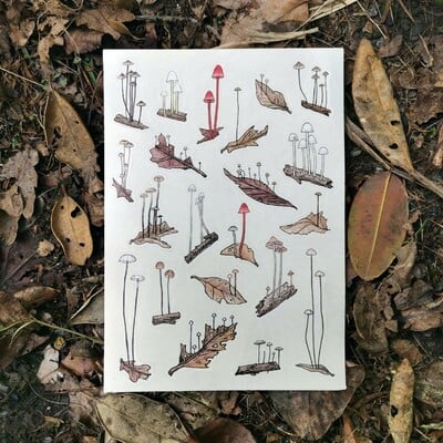 Tiny fungi sticker sheet