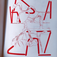 'Metempsychosis' 16-page Risograph zine, Collaboration with Jon Vaughn - Thumbnail 1