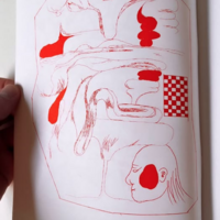 'Metempsychosis' 16-page Risograph zine, Collaboration with Jon Vaughn - Thumbnail 2