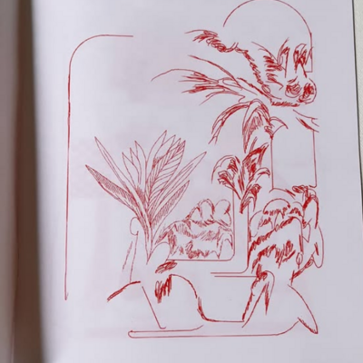 'metempsychosis' 16-page risograph zine, collaboration with jon vaughn