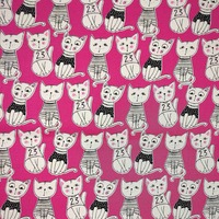 Pussy Wardrobe - Thumbnail 3