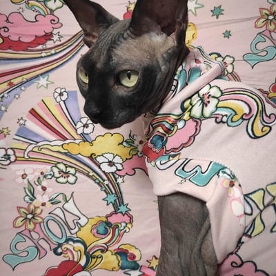 Age of aquarius - sleepwear