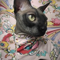 Age Of Aquarius - Sleepwear - Thumbnail 2