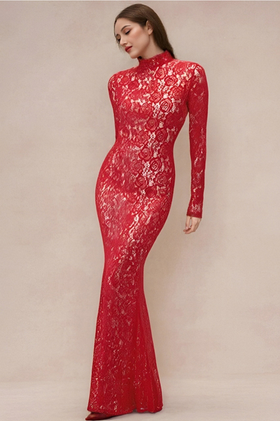 Lace-Panel Half-High Neck Slim-Fit Transparent Sexy Dress