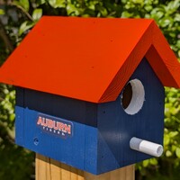 Auburn University Bird House - Thumbnail 1