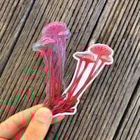 Fungi Stickers - Thumbnail 1