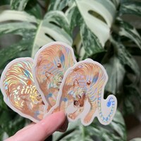 Pearlescent Tiger (HOLO) - Thumbnail 5