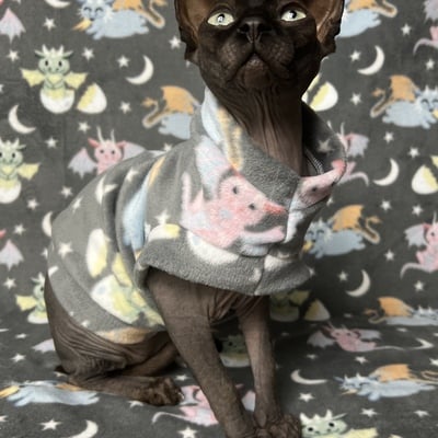 Baby dino’s - luxe fleece - Thumbnail 1