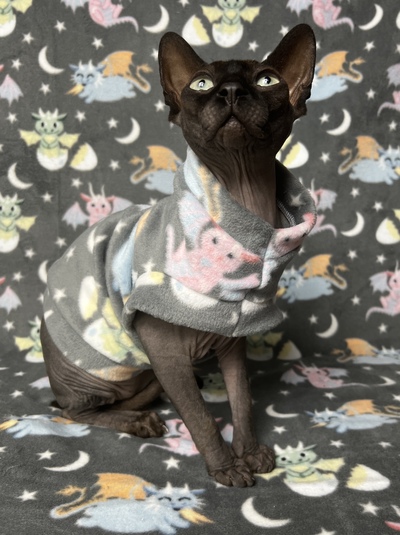 Baby Dino’s - Luxe Fleece