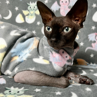 Baby Dino’s - Luxe Fleece - Thumbnail 1