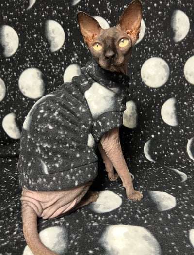 Phases - Luxe Fleece