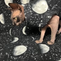 Phases - Luxe Fleece - Thumbnail 2