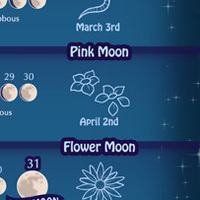 Lunar Calendar 2026 - Thumbnail 3