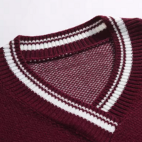 WASHINGTON V-NECK SWEATER - Thumbnail 6