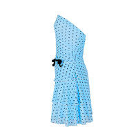 Retro Polka Dot Sexy Tulle Slim Mesh Seaside Holiday Dress - Thumbnail 1