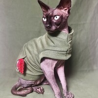 Stash Cat - Distressed Green - Thumbnail 1