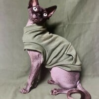 Stash Cat - Distressed Green - Thumbnail 2