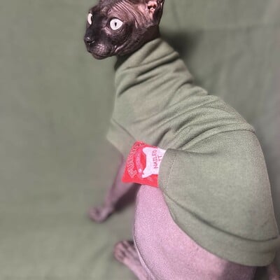 Stash cat - distressed green