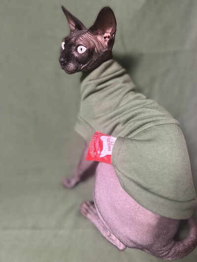 Stash Cat - Distressed Green