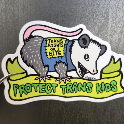 Protect trans kids possum sticker