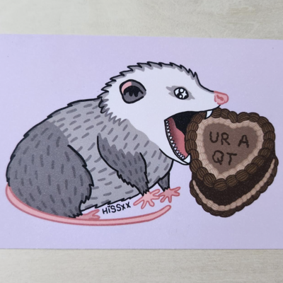 Costco chocolate cake opossum postcard
